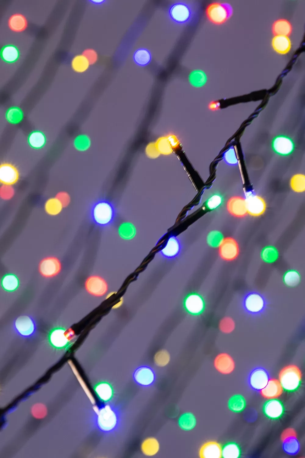 Christmas Tree World 1000 Multi Function LED Lights - Multicolour< Christmas Tree World Brand