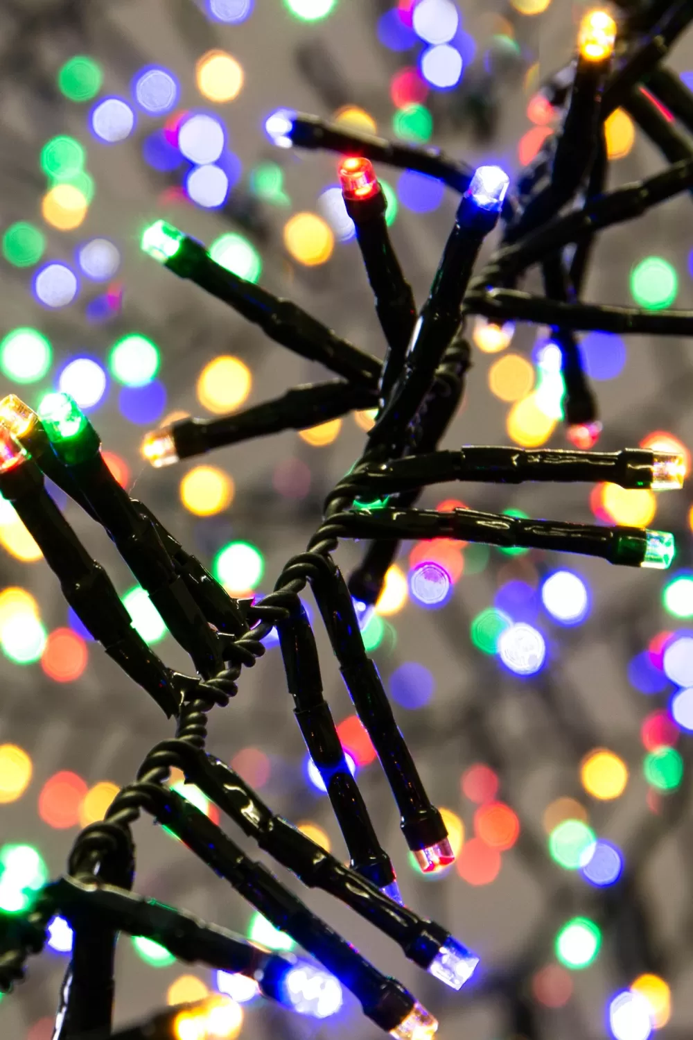 Christmas Tree World 2000 Multi Function LED Cluster Lights - Multicolour< Outdoor Christmas Lights | Outdoor Christmas Tree Lights