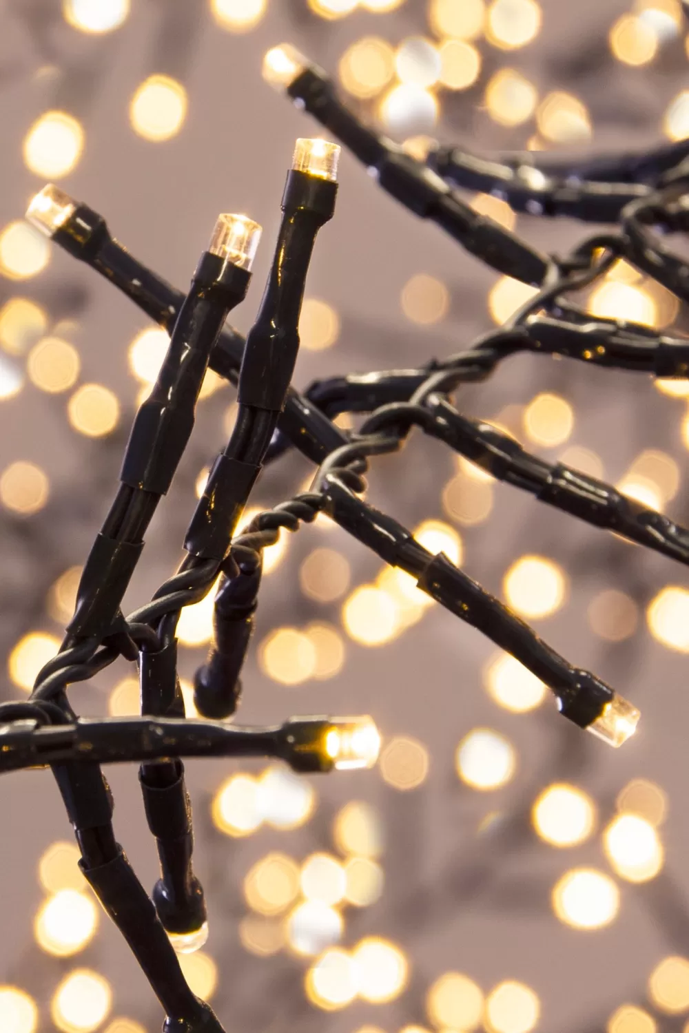 Christmas Tree World 2000 Multi Function LED Cluster Lights - Warm White< Outdoor Christmas Lights | Outdoor Christmas Tree Lights