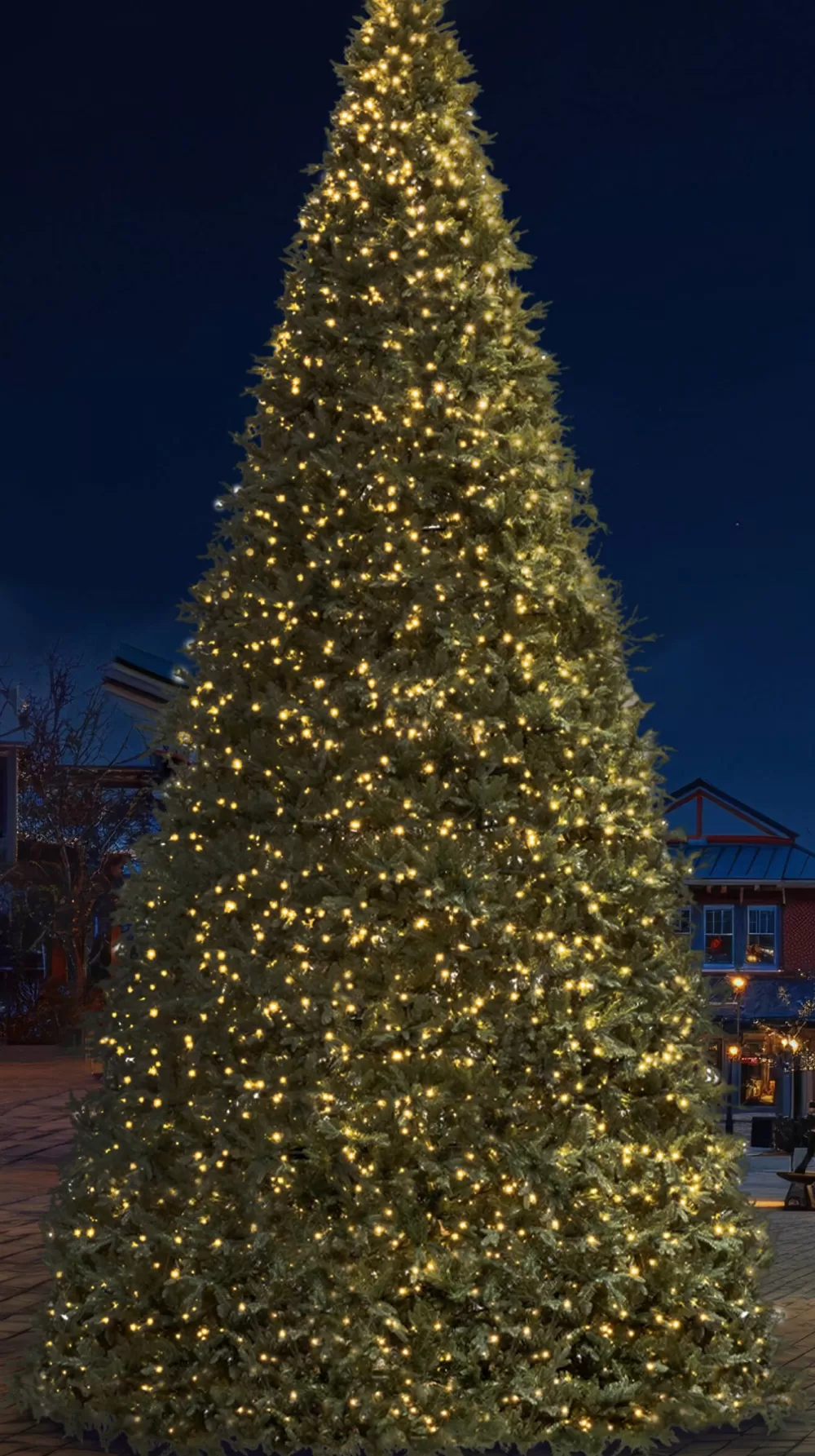 Christmas Tree World 4m/13.1ft Commercial Giant Woodland Frame Tree - Choose LED Colour< Outdoor Led Trees | Large Commercial Christmas Trees