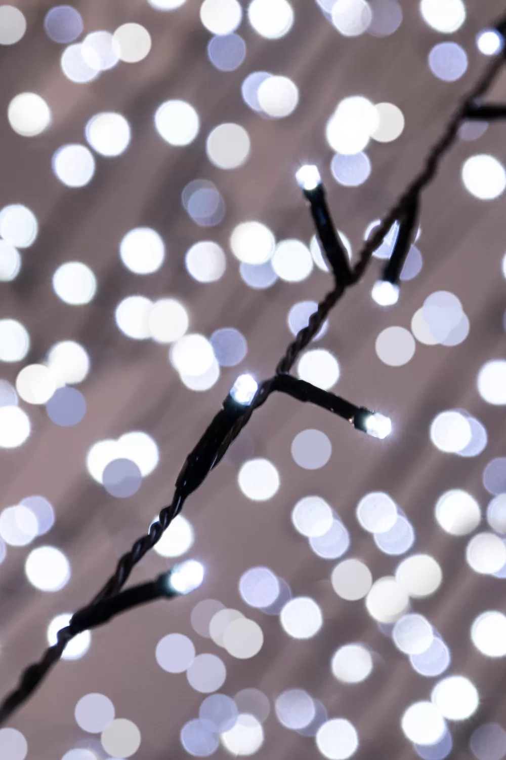 Christmas Tree World 600 Multi Function LED Lights - Bright White< Multifunction Led Lights | Christmas Tree World Brand