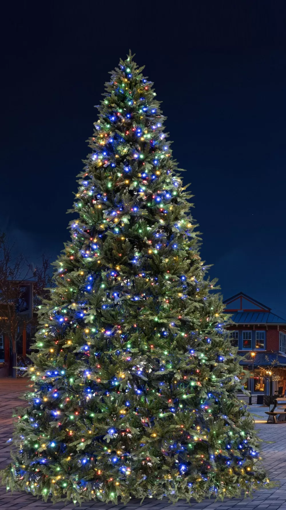 Christmas Tree World 6m/19.4ft Commercial Giant Woodland Frame Tree - Choose LED Colour< Large Commercial Christmas Trees | Outdoor Led Trees