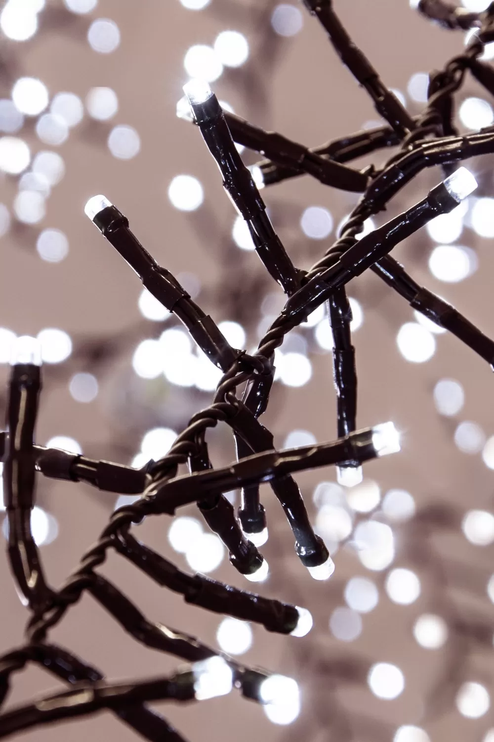 Christmas Tree World 960 Multi Function LED Cluster Lights - Bright White< Outdoor Christmas Lights | Outdoor Christmas Tree Lights