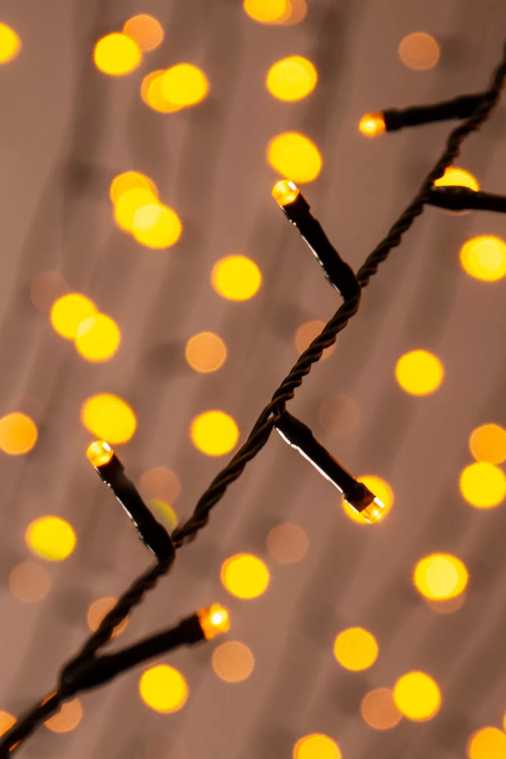 Christmas Tree World 480 Multi Function LED Lights< Multifunction Led Lights | Christmas Tree World Brand