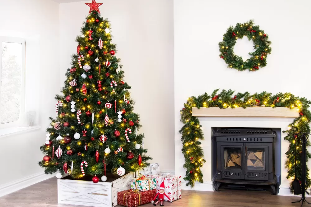 Christmas Tree World The 10ft Majestic Dew Pine Tree< Large Commercial Christmas Trees