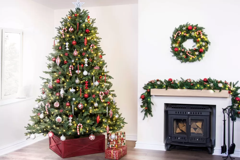 Christmas Tree World The 10ft Woodland Pine Tree< Large Commercial Christmas Trees