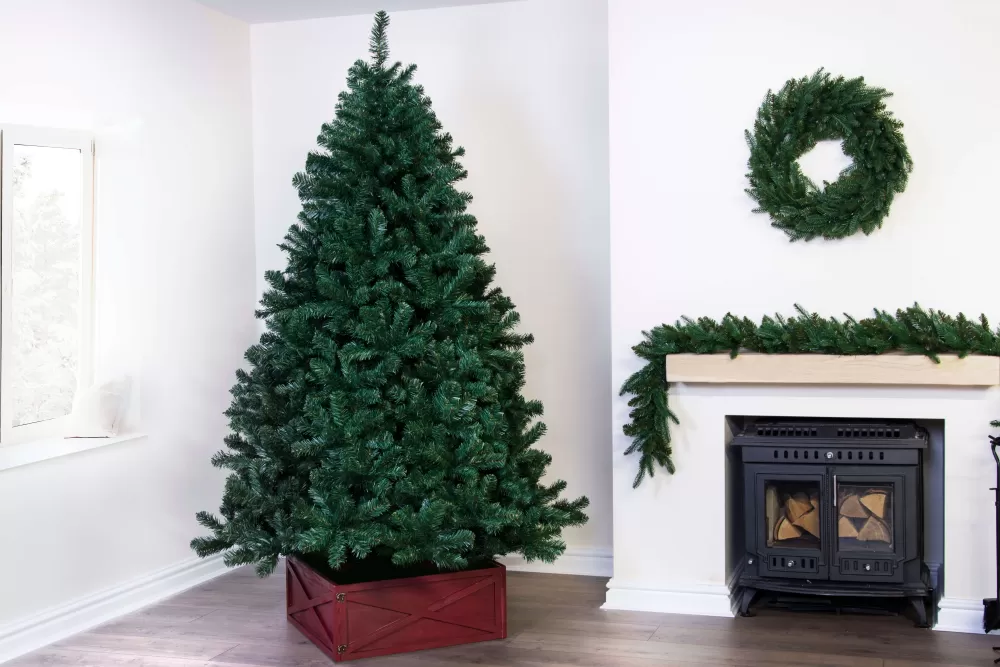 Christmas Tree World The 12ft Arbor Vitae Fir Tree< Large Commercial Christmas Trees