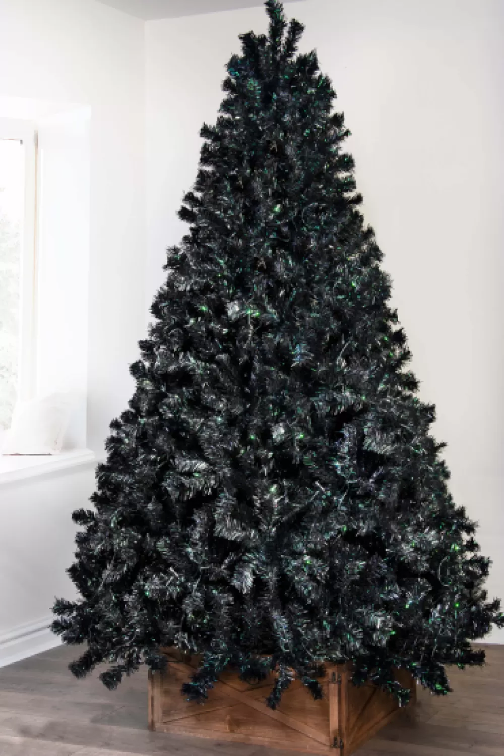 Christmas Tree World The Black Iridescence Pine Tree (6ft To 7ft)< Unlit Christmas Trees