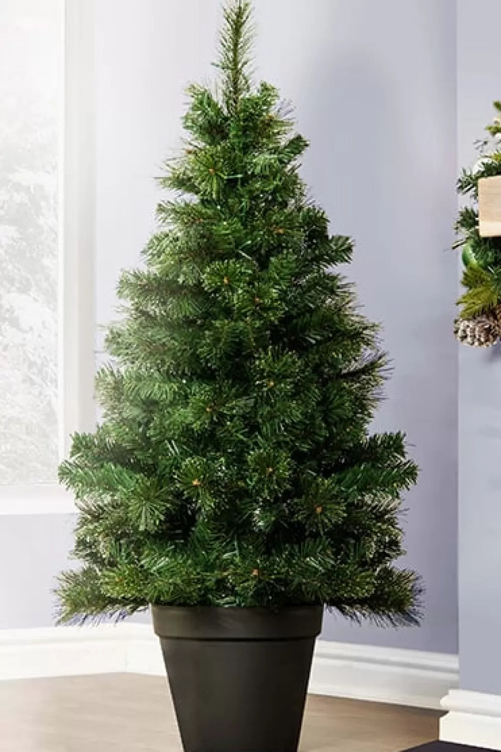 Christmas Tree World The Majestic Dew Pine Potted Tree (3ft To 5ft)< Outdoor Christmas Trees | Outdoor Artificial Trees