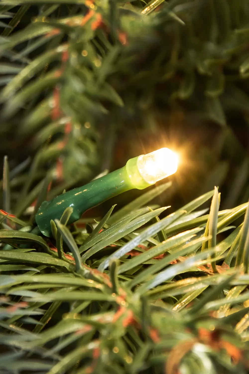 Christmas Tree World The Pre-lit Cairngorm Pine Potted Tree (3ft To 5ft)< Outdoor Led Trees | Pre-Lit Christmas Trees