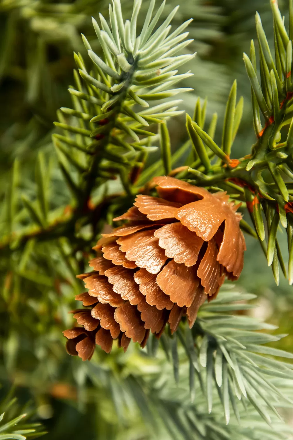 Christmas Tree World The Pre-lit Cairngorm Pine Potted Tree (3ft To 5ft)< Outdoor Led Trees | Pre-Lit Christmas Trees
