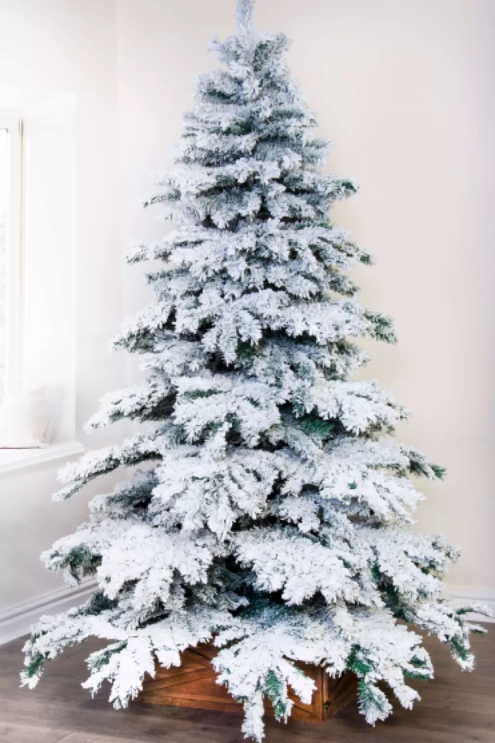 Christmas Tree World The Snow White Fir (5ft To 8ft)< Unlit Christmas Trees | Snowy Christmas Trees