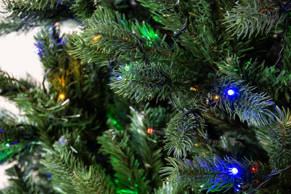 Christmas Tree World The Ultra Devonshire Fir Pre-lit With Warm White/Multicoloured LEDs (4ft To 12ft)< Pre-Lit Christmas Trees