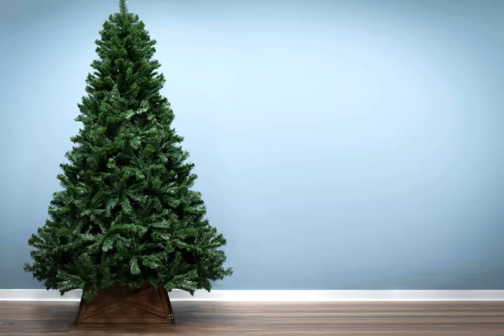 Christmas Tree World The Vanda Verde Fir Tree (4ft To 10ft)< Unlit Christmas Trees
