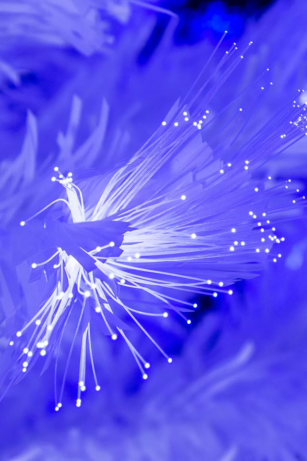Christmas Tree World The White Blue Ripple Effect Fibre Optic Tree (4ft To 7ft)< Pre-Lit Christmas Trees | Fibre Optic Christmas Trees